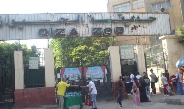 منبر