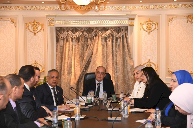 لجنة المشروعات الصغيرة بالنواب تستضيف "رجال الأعمال المصريين الأفارقة"