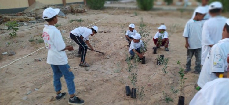 زراعة شتلات الزيتون و الرمان بالمعهد الديني بقرية الترامسة بمدينة قنا