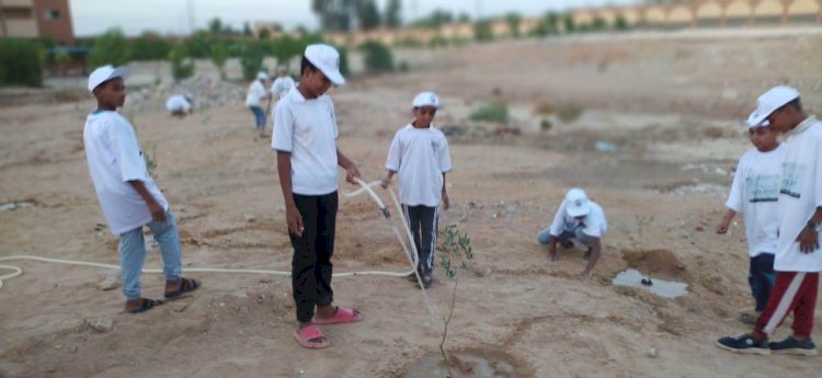 زراعة شتلات الزيتون و الرمان بالمعهد الديني بقرية الترامسة بمدينة قنا