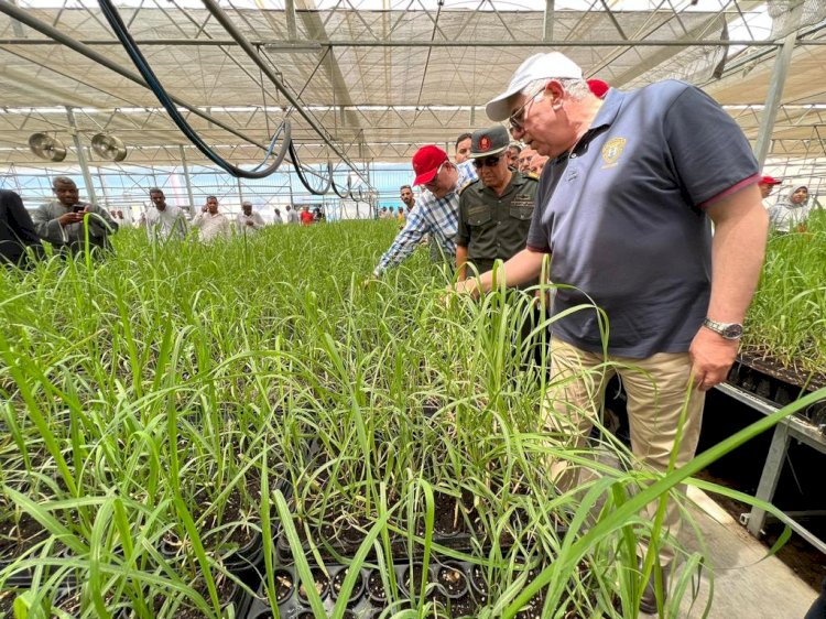 أول محطة لإنتاج شتلات قصب السكر  بتكلفة 300 مليون جنية في إطار المبادرة الرئاسية حياة كريمة