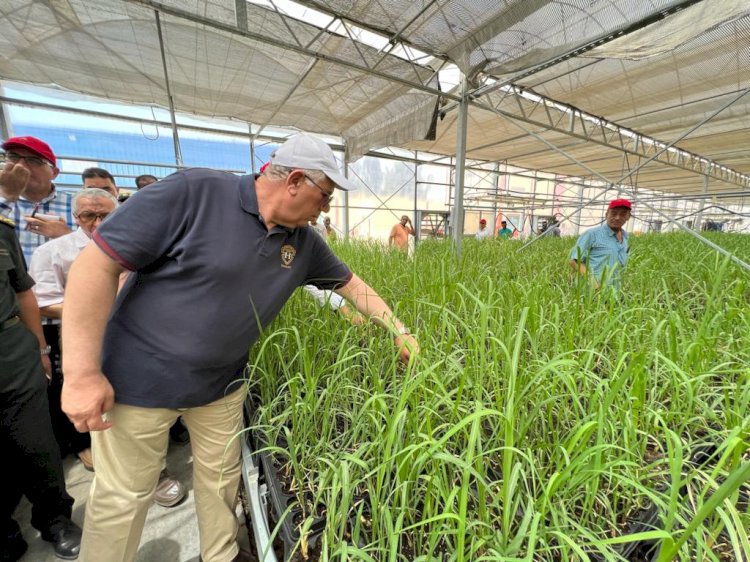 أول محطة لإنتاج شتلات قصب السكر  بتكلفة 300 مليون جنية في إطار المبادرة الرئاسية حياة كريمة