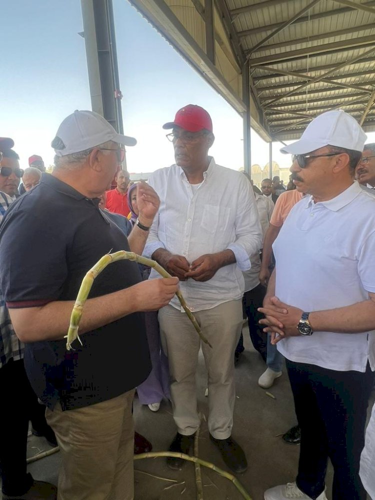 أول محطة لإنتاج شتلات قصب السكر  بتكلفة 300 مليون جنية في إطار المبادرة الرئاسية حياة كريمة