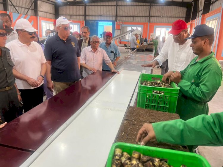 أول محطة لإنتاج شتلات قصب السكر  بتكلفة 300 مليون جنية في إطار المبادرة الرئاسية حياة كريمة