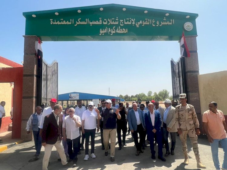 أول محطة لإنتاج شتلات قصب السكر  بتكلفة 300 مليون جنية في إطار المبادرة الرئاسية حياة كريمة