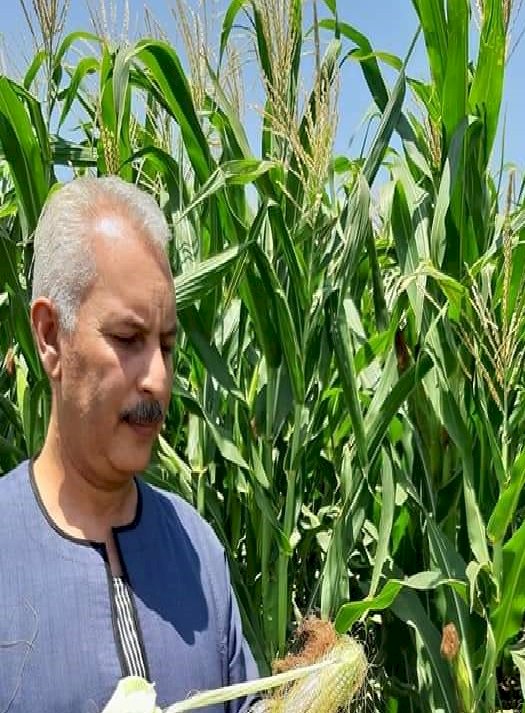 أبو صدام : دودة الحشد المرعبه  دخلت مصر من 4 سنوات