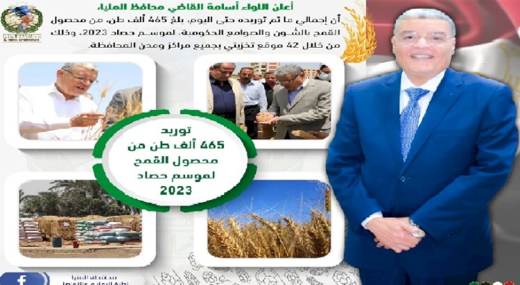 شون وصوامع المنيا تستقبل 465 ألف طن من القمح بجميع المراكز