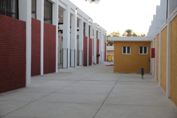 الفقي 25 مجزر جاهزة لذبح اضاحي الاهالي مجانا