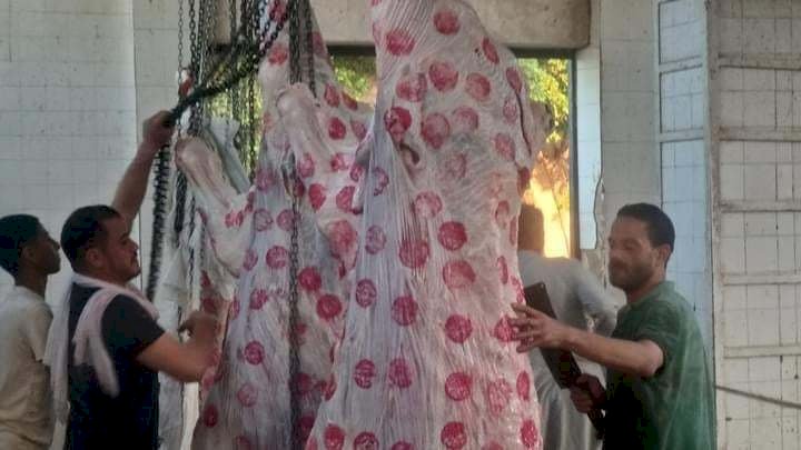 مجازر المنيا تنهى استعداداتها لذبح أضاحى العيد مجانا