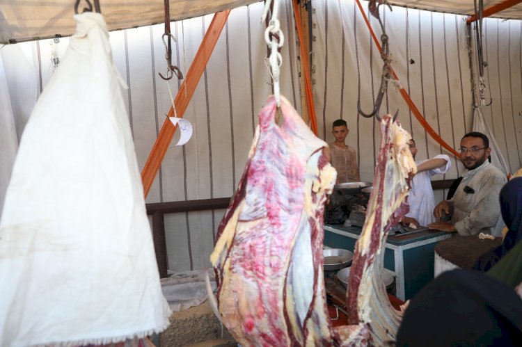 محافظ بني سويف يتفقد شوادر اللحوم  تزامنا مع  استقبال عيد الأضحى المبارك