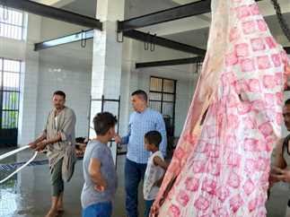 منافذ لبيع اللحوم بأسعار مخفضة خلال العيد بالمنيا