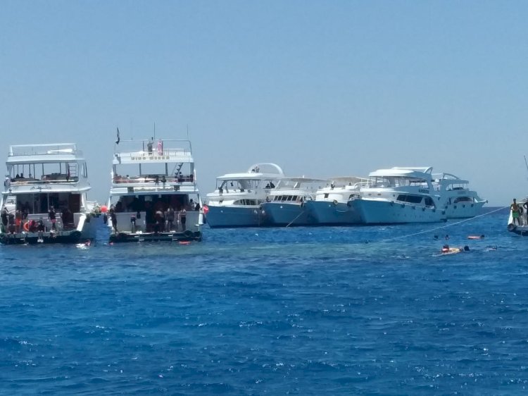 فى ثانى أيام عيد الأضحى المبارك: البيئة تواصل جهود أعمال الرصد والمتابعة الدورية للمحميات الطبيعية بجنوب سيناء
