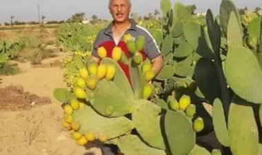 منبر