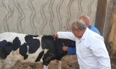 منبر