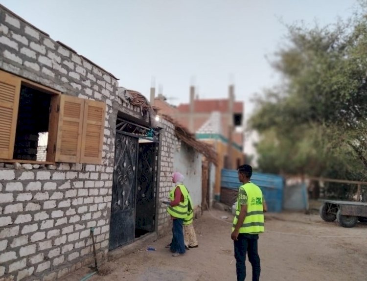 ذبح 142رأس ماشية في  عيد الأضحى بقنا