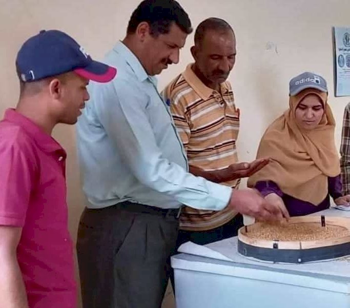 محافظ سوهاج : توريد أكثر من 128 ألف طن قمح لشون وصوامع سوهاج