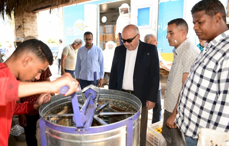 الداودي يشهد أول قطفة عسل نحل بمشروعات الأمن الغذائي