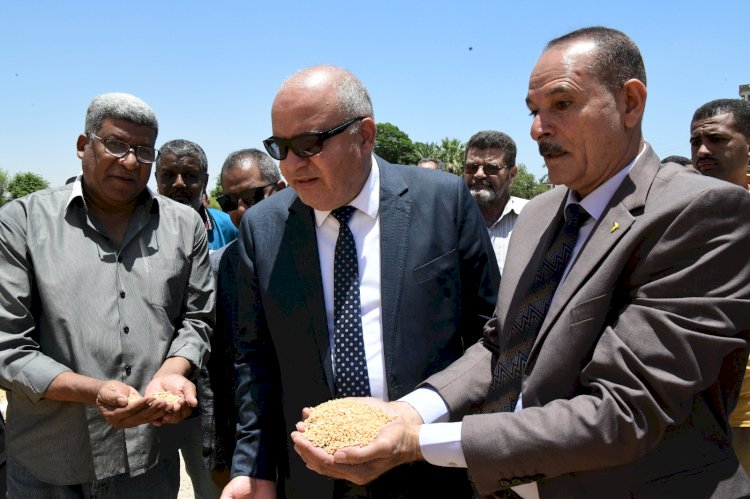 الداودي يتابع توريد محصول القمح في قنا