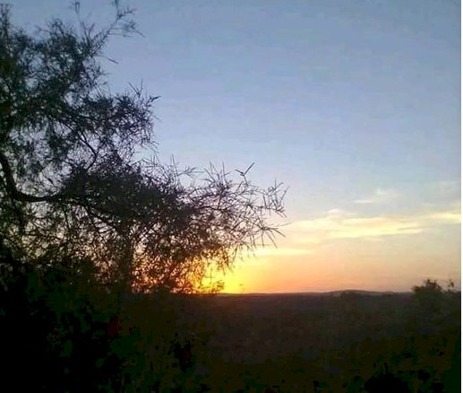 نواة تسند ماعون الماء - شعر