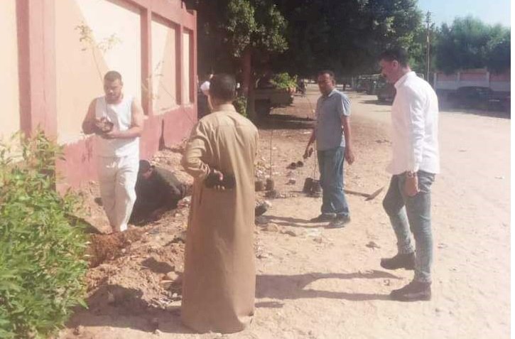 زراعة أشجار مثمرة وأخرى للزينة فى 3 مراكز بالمنيا