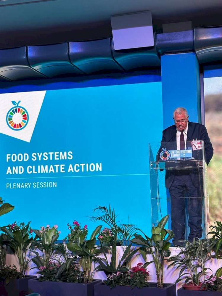 القصير امام مؤتمر لحظة الامم المتحدة لتقييم نظم الغذاء ٢٠٢٣