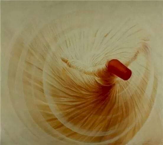 في موقف الحيرة