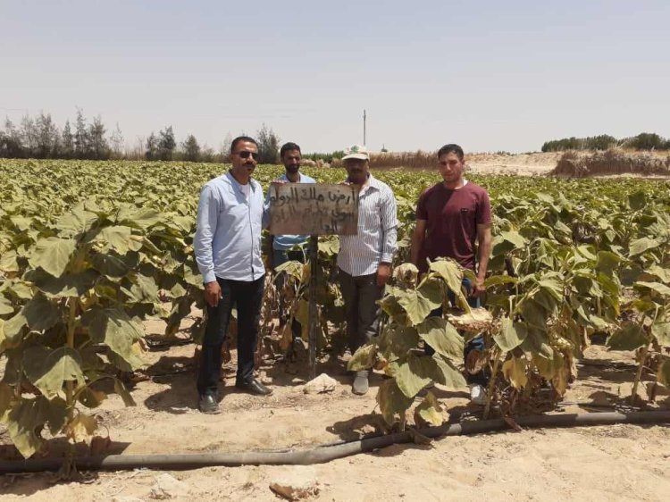 استرداد ٢٢٢ فدانا وإزالة ٣٧ حالة تعد بمراكز المنيا