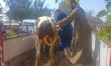 منبر