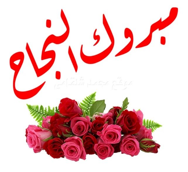 مليار مبروك الشيماء نصر الدين أنور