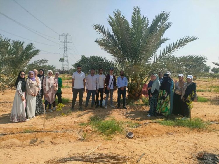 الزراعة في تقريرها تستعرض ابرز انشطة المركزي للنخيل