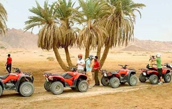 السياحة تقنن ١٠ مراكز للسفاري بجنوب سيناء والبحر الاحمر