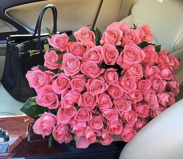 ألف مبروك لوجينا سليمان