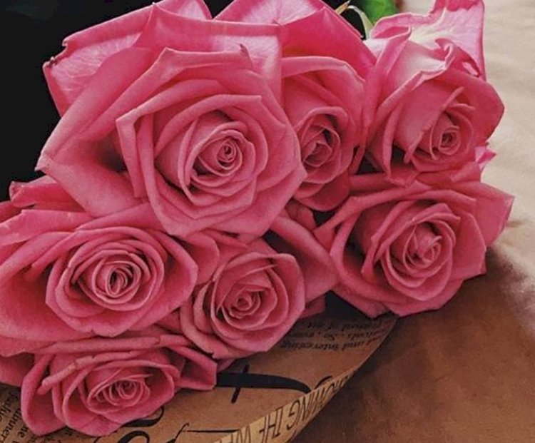 مليار مبروك المقدم محمود خطاب