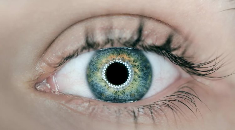 دراسة علمية مبشرة لكل الفاقدين أبصارهم