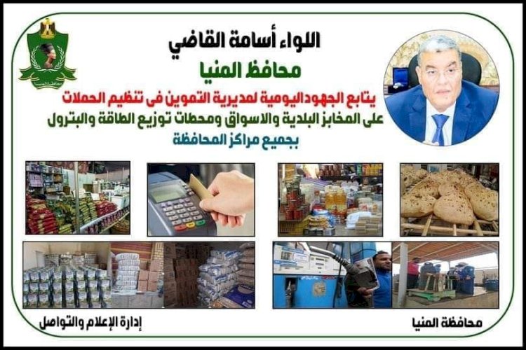 ضبط ١١٩ مخالفة في حملات مختلفة بالمنيا