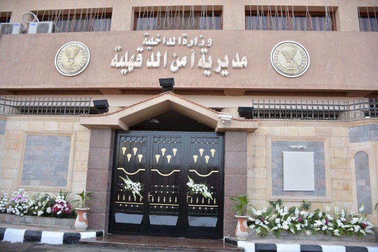 ضبط سلاح نارى وكمية مواد وعقاقير مخدرة بحوزة عنصر إجرامى بالدقهلية