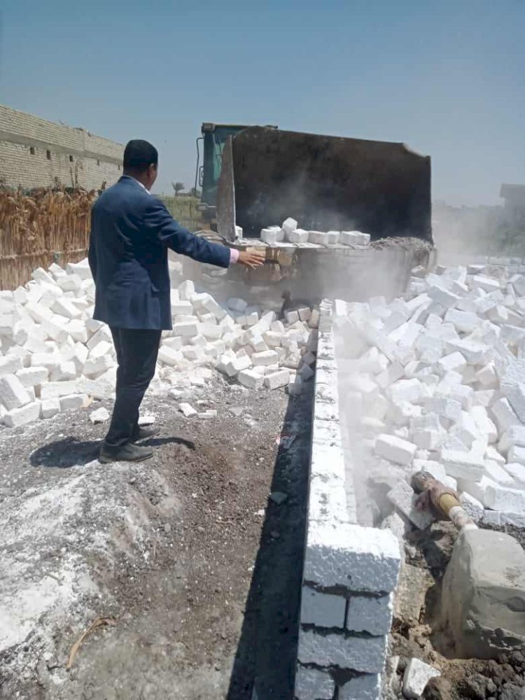 ازالة ٩٧ حالة تعدي علي اراضي زراعية واملاك دولة بالمنيا