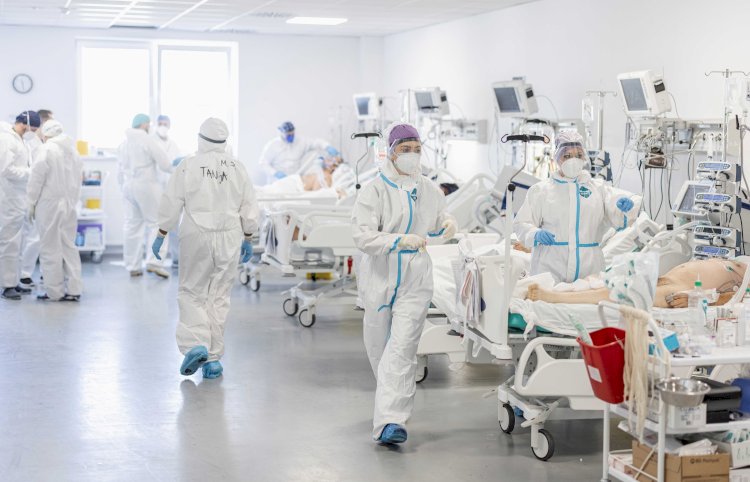 بحث حديث:اطباء كبار نشروا معلومات مضلله عن كورونا من أجل حصد ملايين الدولارات