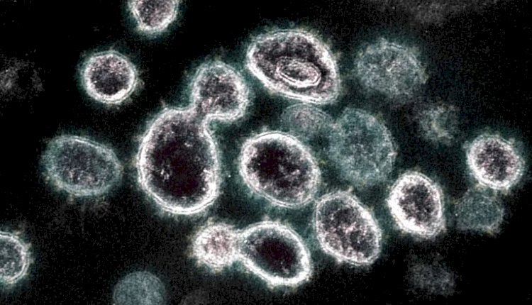 إيمان بدر تكتب أسرار جديدة حول متحور اوميكرون الجديد