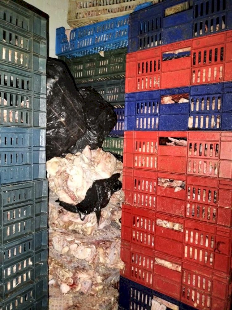 ضبط ١٠ طن دواجن ودهون غير صالحة للاستهلاك بالجيزة