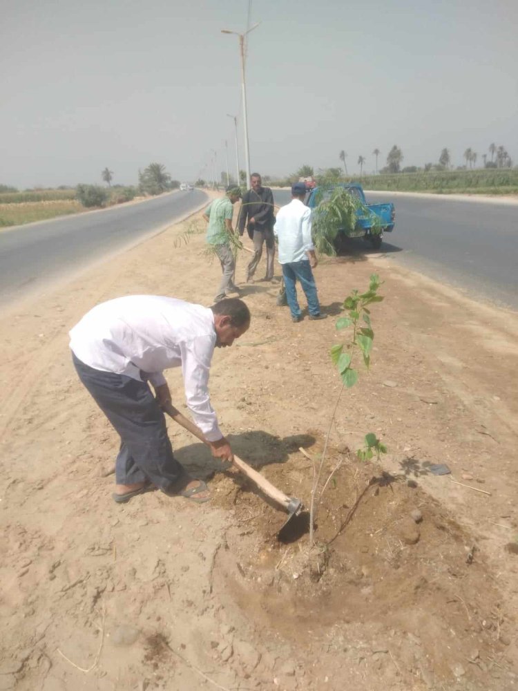 زراعة اشجار مثمرة ضمن ١٠٠ مليون شجرة بالمنيا