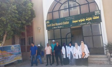 منبر