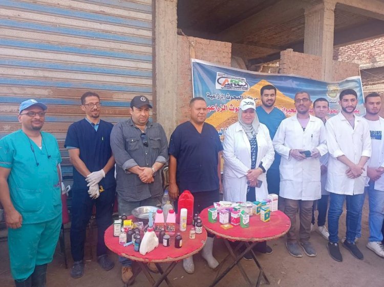 الزراعة..قافلة بيطرية لمواشي صغار المربين بدمياط في اطار حياة كريمة