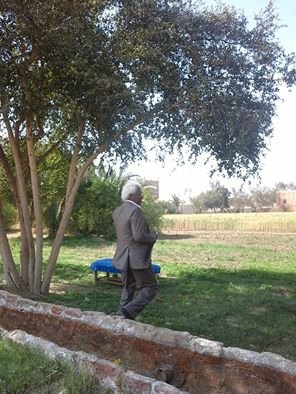 غناوى الأرض مهداة لروح  الشاعر الجنوبي / محمود مغربي