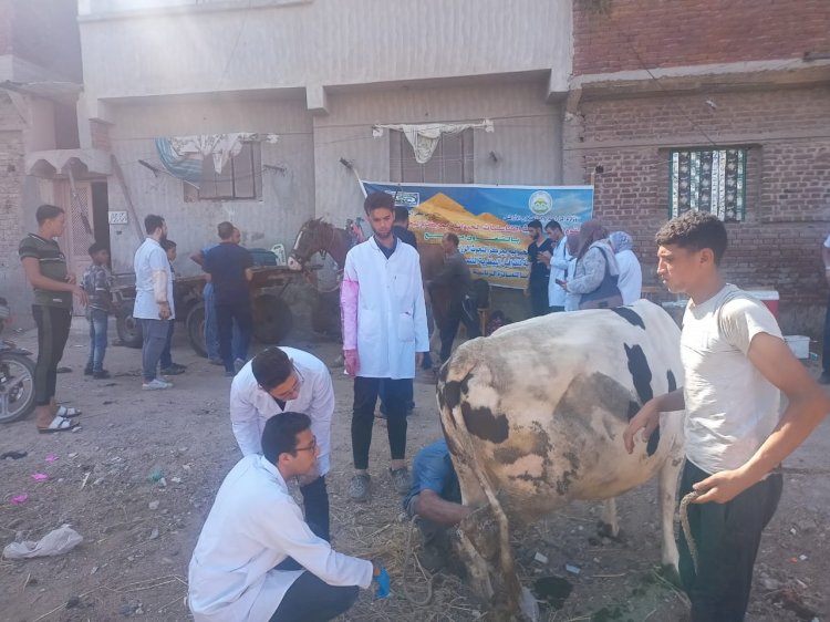 علاج اكثر من ٦٥٠٠ راس ماشية بدمياط