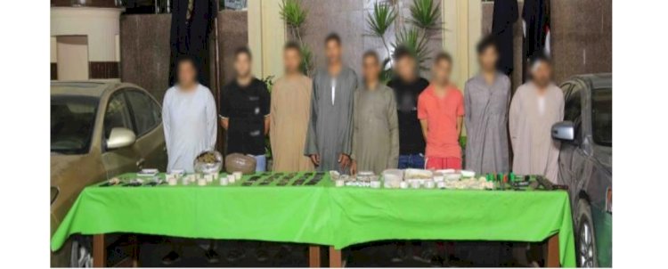 كوكتيل مخدرات بحوزة" ٩"عناصر اجرامية بالقليوبية