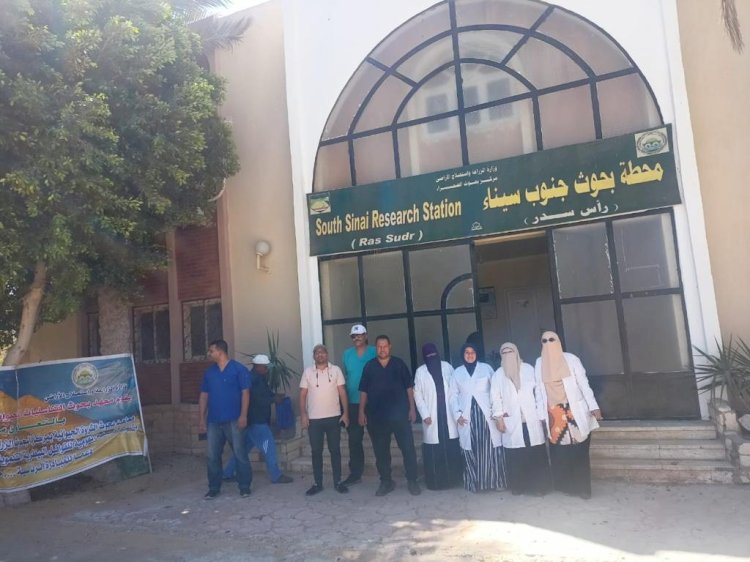 فحص ١٣٤٠ رأس ماشية لصغار المربين بسيناء