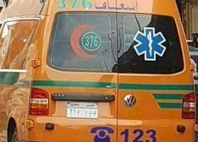 مصرع «مزارع» بلدغ ثعبان أثناء الحصاد في المنيا