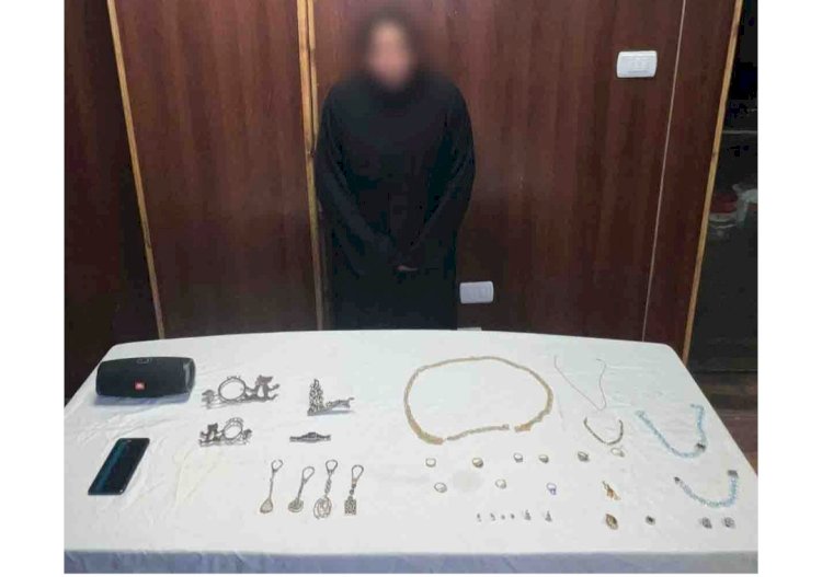 الخادمة سارقة فيلا الشروق