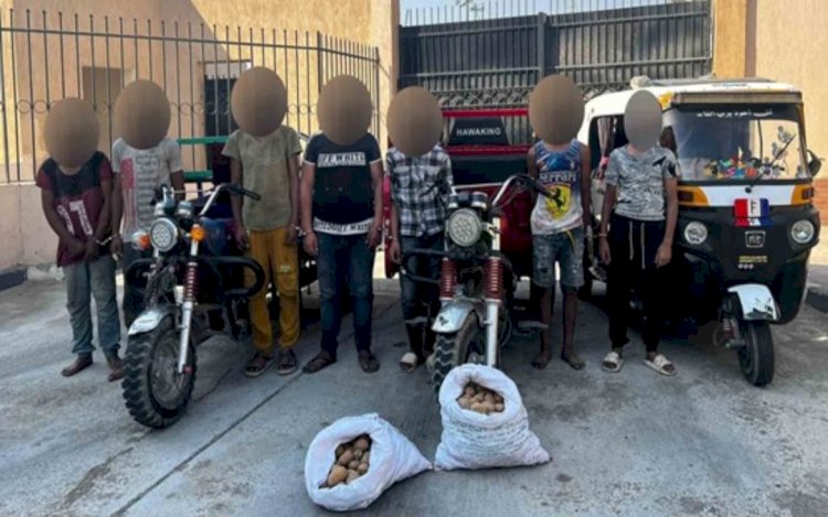 ضبط اخطر تشكيل عصابي لسرقة سيارات النقل بالمغافلة بالقليوبية